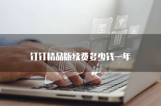 钉钉精品版续费多少钱一年