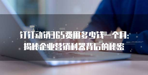 钉钉动销365费用多少钱一个月:揭秘企业营销利器背后的秘密