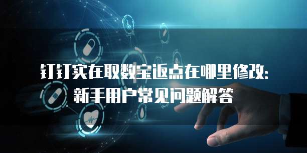 钉钉实在取数宝返点在哪里修改:新手用户常见问题解答