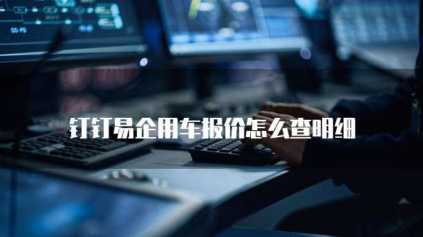 钉钉易企用车报价怎么查明细