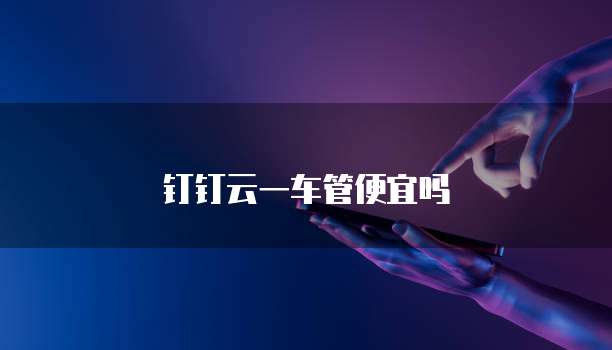 钉钉云一车管便宜吗
