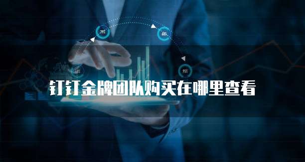 钉钉金牌团队购买在哪里查看