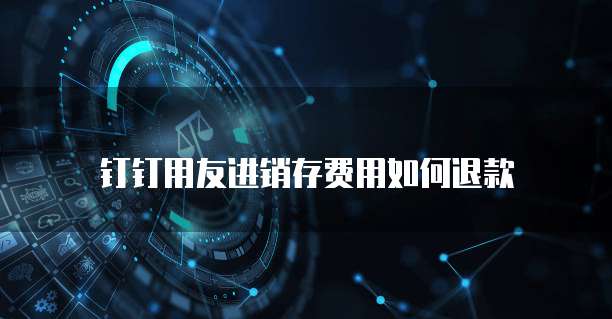 钉钉用友进销存费用如何退款