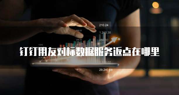 钉钉用友对标数据服务返点在哪里