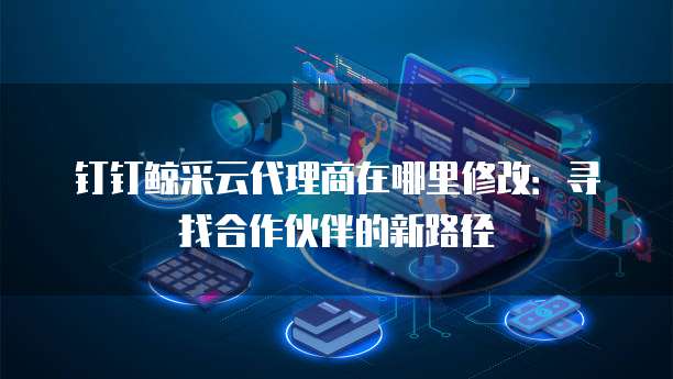 钉钉鲸采云代理商在哪里修改:寻找合作伙伴的新路径