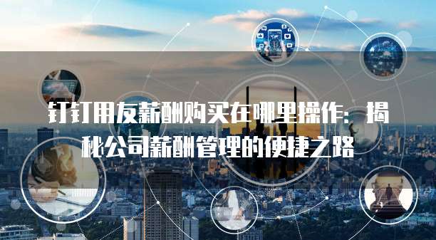 钉钉用友薪酬购买在哪里操作:揭秘公司薪酬管理的便捷之路