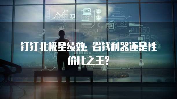 钉钉北极星绩效: 省钱利器还是性价比之王?