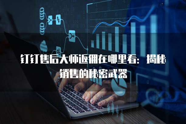 钉钉售后大师返佣在哪里看:揭秘销售的秘密武器