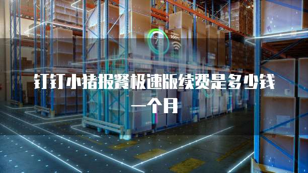钉钉小猪报餐极速版续费是多少钱一个月