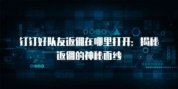 钉钉好队友返佣在哪里打开:揭秘返佣的神秘面纱