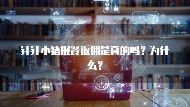 钉钉小猪报餐返佣是真的吗?为什么?