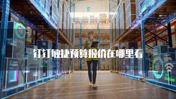 钉钉敏捷预算报价在哪里看