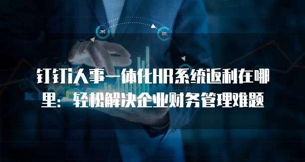 钉钉i人事一体化HR系统返利在哪里:轻松解决企业财务管理难题