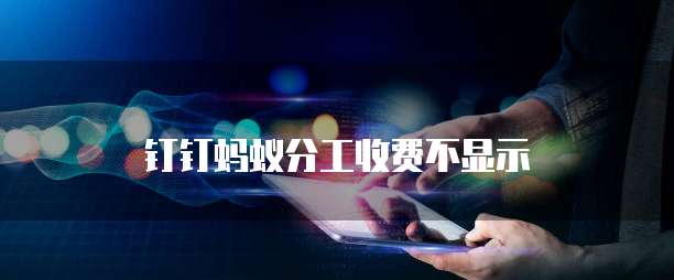 钉钉蚂蚁分工收费不显示