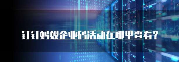 钉钉蚂蚁企业码活动在哪里查看?