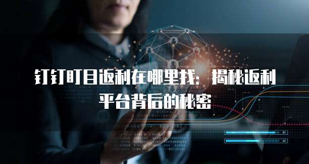 钉钉盯目返利在哪里找:揭秘返利平台背后的秘密