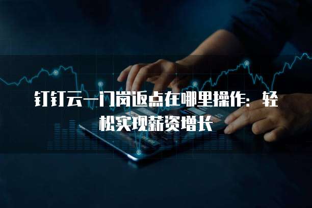 钉钉云一门岗返点在哪里操作:轻松实现薪资增长