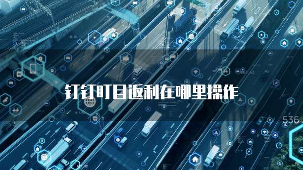 钉钉盯目返利在哪里操作