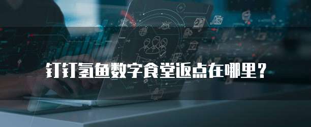 钉钉氢鱼数字食堂返点在哪里？