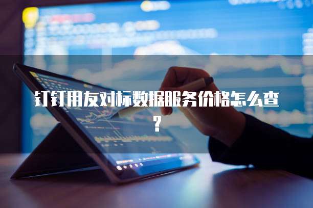 钉钉用友对标数据服务价格怎么查?