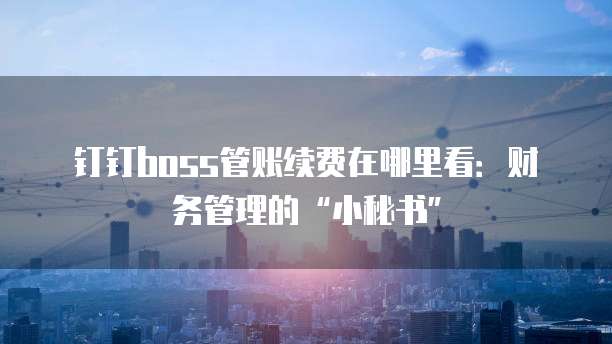 钉钉boss管账续费在哪里看:财务管理的“小秘书”