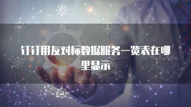 钉钉用友对标数据服务一览表在哪里显示