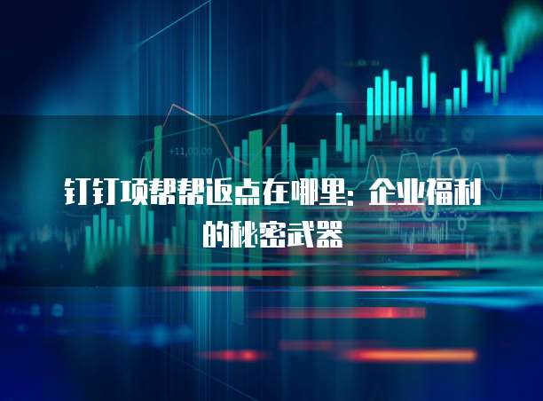钉钉项帮帮返点在哪里: 企业福利的秘密武器