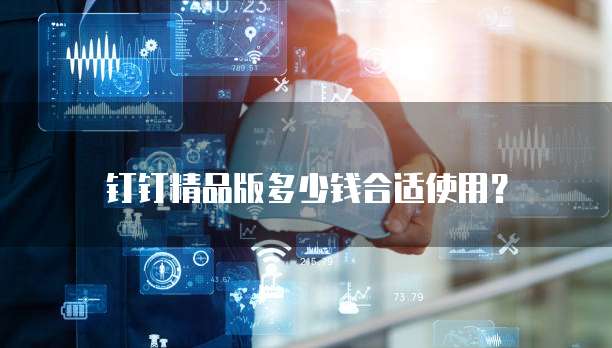 钉钉精品版多少钱合适使用?