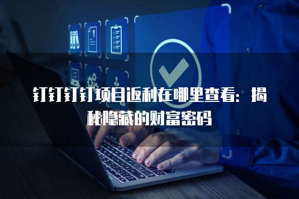 钉钉钉钉项目返利在哪里查看:揭秘隐藏的财富密码