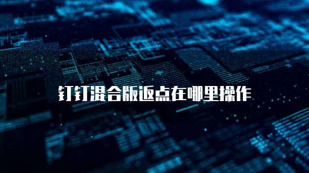 钉钉混合版返点在哪里操作