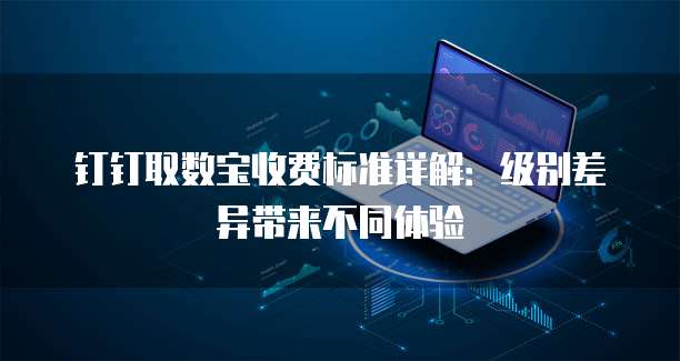 钉钉取数宝收费标准详解:级别差异带来不同体验