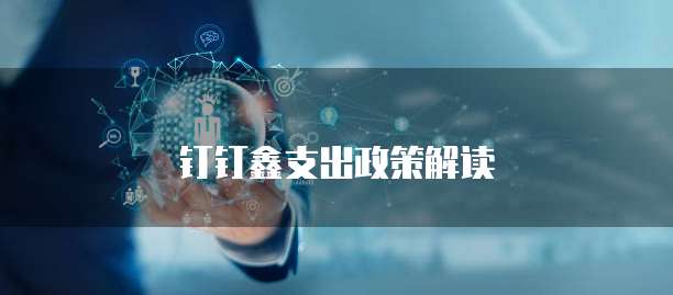 钉钉鑫支出政策解读