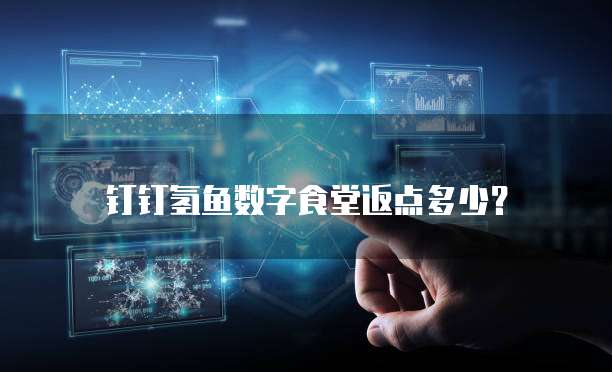 钉钉氢鱼数字食堂返点多少?