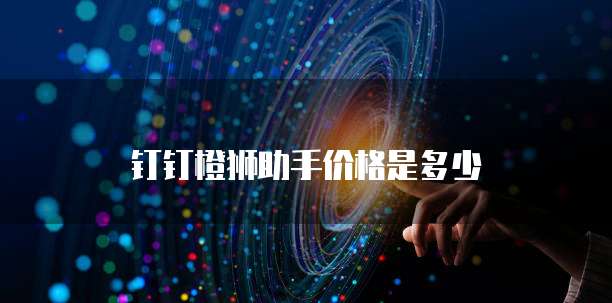 钉钉橙狮助手价格是多少