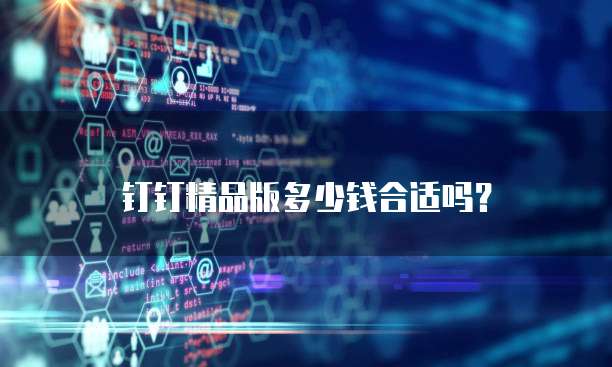 钉钉精品版多少钱合适吗?