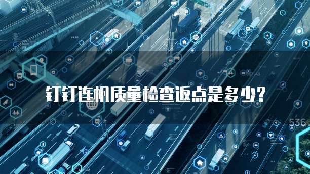 钉钉连帆质量检查返点是多少?