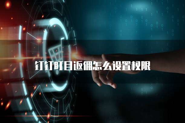 钉钉盯目返佣怎么设置权限