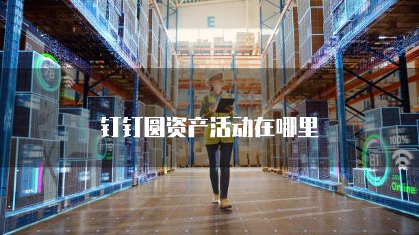 钉钉圆资产活动在哪里