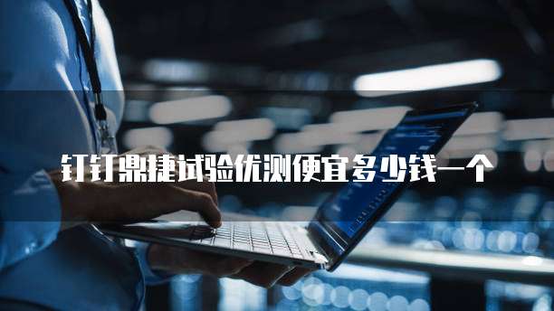 钉钉鼎捷试验优测便宜多少钱一个