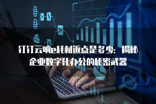 钉钉云呐e耗材返点是多少:揭秘企业数字化办公的秘密武器