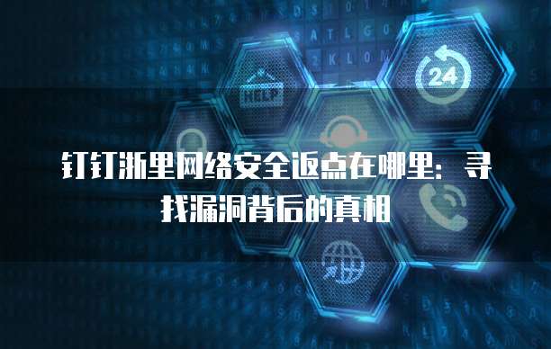 钉钉浙里网络安全返点在哪里：寻找漏洞背后的真相