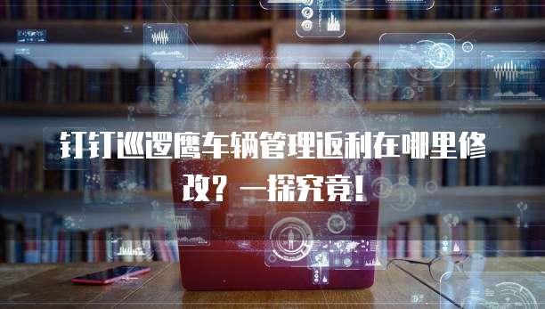 钉钉巡逻鹰车辆管理返利在哪里修改?一探究竟!