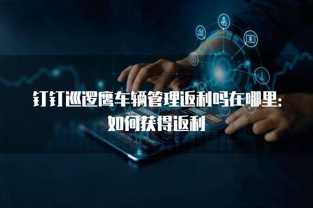 钉钉巡逻鹰车辆管理返利吗在哪里:如何获得返利