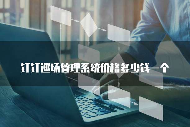 钉钉巡场管理系统价格多少钱一个