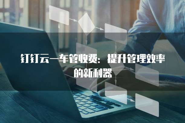 钉钉云一车管收费:提升管理效率的新利器
