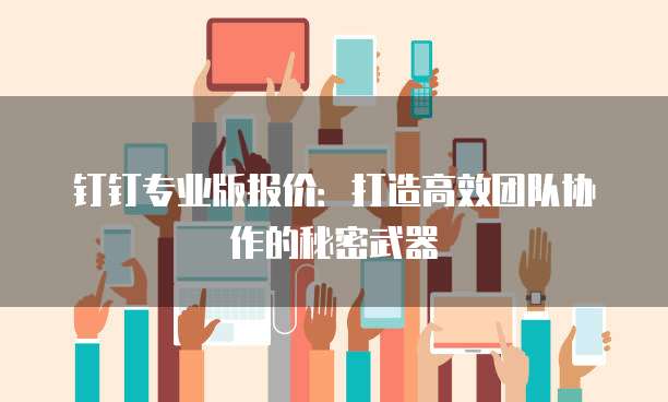 钉钉专业版报价:打造高效团队协作的秘密武器