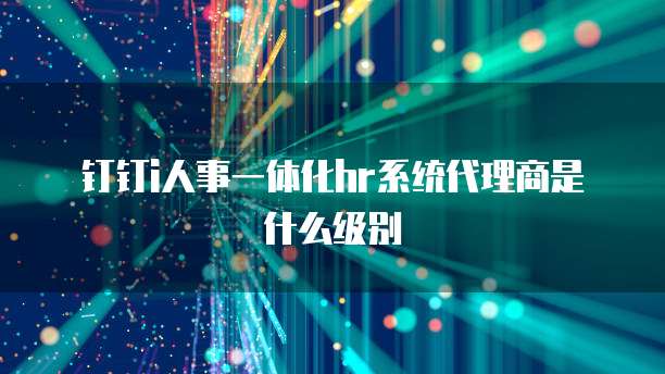 钉钉i人事一体化hr系统代理商是什么级别