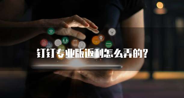 钉钉专业版返利怎么弄的?