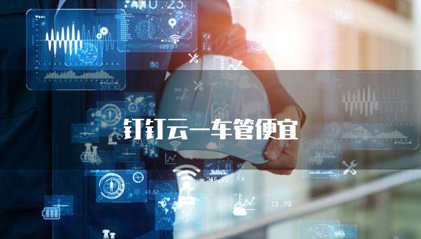 钉钉云一车管便宜