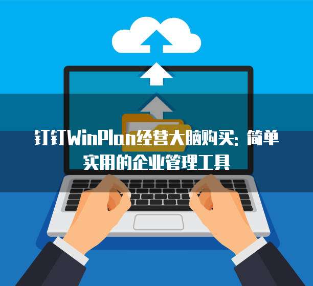 钉钉WinPlan经营大脑购买: 简单实用的企业管理工具